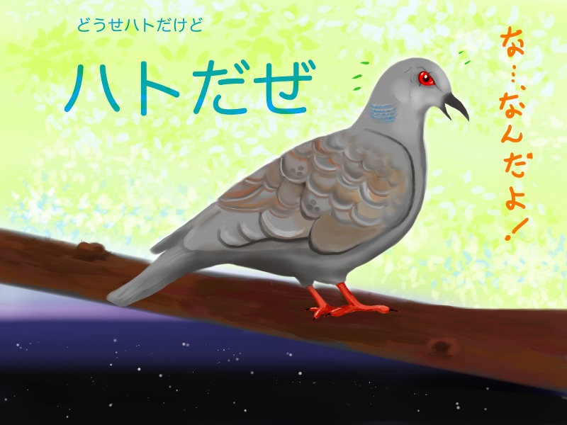 ハト君