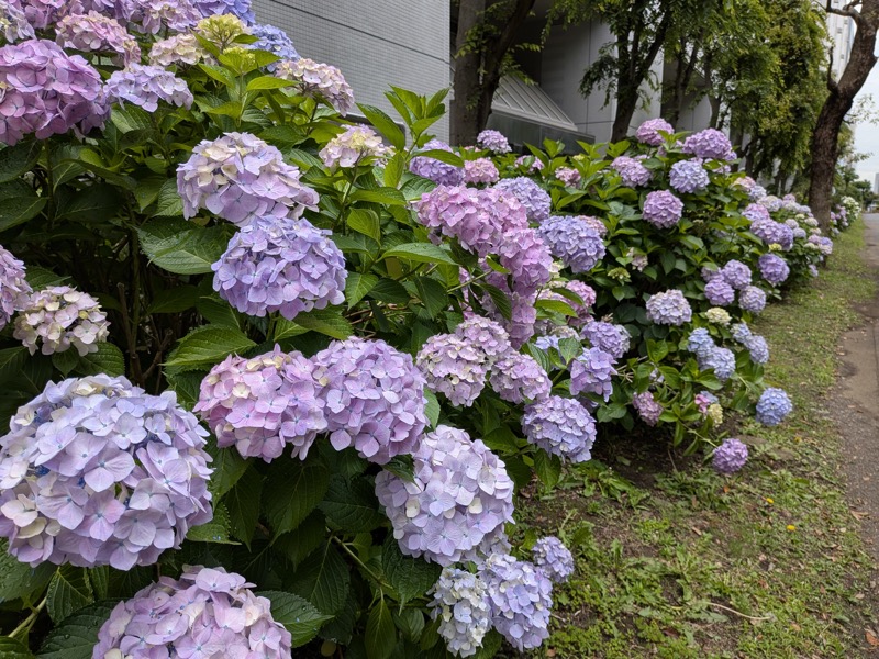 250604_01.jpg