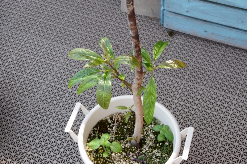 260517_04.jpg