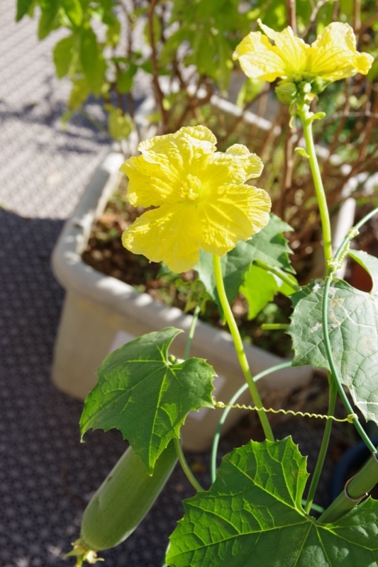 261018_03.jpg